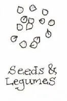Product category icon linking to the Seeds & Legumes page