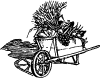 biodistributors wheelbarrow with produce logo