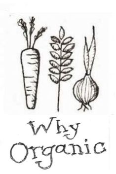 Why organic? icon - sketch of organic veggies